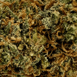 CBD Aromablüte 'Berry Buds'