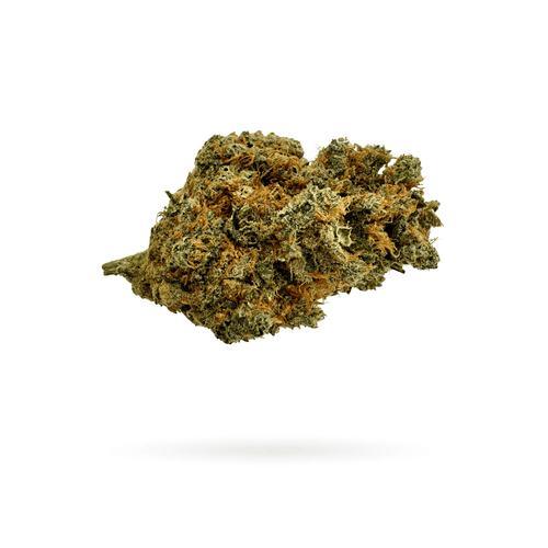 CBD Aromablüte 'Gorilla Fruit'