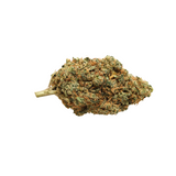 CBD Aromablüte 'Solero Cream'
